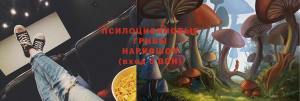 стафф Осинники