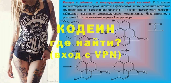 стафф Осинники