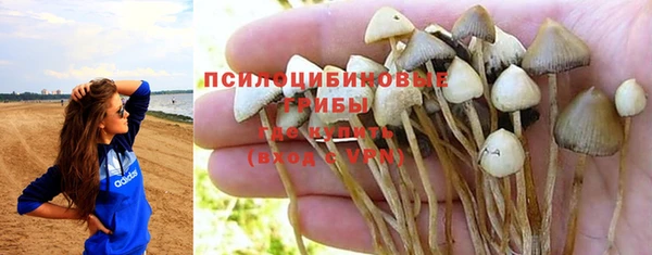 а пвп мука Гвардейск