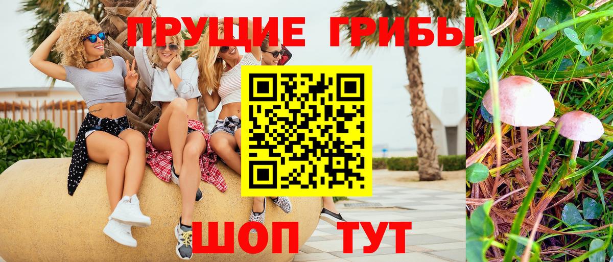 Соль-Илецк  Галлюциногенные грибы Psilocybine cubensis  Вход с VPN  Псилоцибиновые грибы Cubensis 
